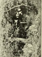 Picture 134 of 220 from The great painter-etchers from Rembrandt to Whistler (1914), leaf 203
