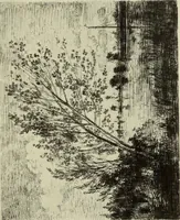 Picture 136 of 220 from The great painter-etchers from Rembrandt to Whistler (1914), leaf 206
