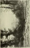 Picture 176 of 220 from The great painter-etchers from Rembrandt to Whistler (1914), leaf 254