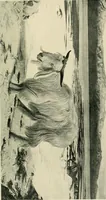 An illustration from Great pictures as moral teachers (1910)