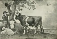 An illustration from Great pictures as seen and described by famous writers (1900)