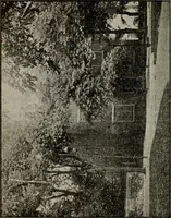 Picture 13 of 34 from The great treason plot in the North during the war (1895), leaf 193