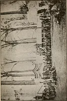 An illustration from The great treason plot in the North during the war (1895)