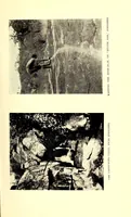 An illustration from Great Zimbabwe, Mashonaland, Rhodesia; an account of two years' examination work in 1902-4 on behalf of the government of Rhodesia (1905)