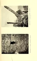 An illustration from Great Zimbabwe, Mashonaland, Rhodesia; an account of two years' examination work in 1902-4 on behalf of the government of Rhodesia (1905)