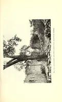 An illustration from Great Zimbabwe, Mashonaland, Rhodesia; an account of two years' examination work in 1902-4 on behalf of the government of Rhodesia (1905)