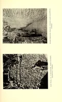 An illustration from Great Zimbabwe, Mashonaland, Rhodesia; an account of two years' examination work in 1902-4 on behalf of the government of Rhodesia (1905)