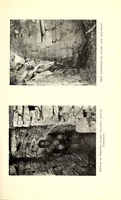 An illustration from Great Zimbabwe, Mashonaland, Rhodesia; an account of two years' examination work in 1902-4 on behalf of the government of Rhodesia (1905)