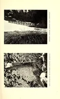 An illustration from Great Zimbabwe, Mashonaland, Rhodesia; an account of two years' examination work in 1902-4 on behalf of the government of Rhodesia (1905)