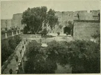 Picture 143 of 470 from Greek coins and their parent cities (1902), leaf 306