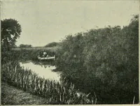An illustration from Greek coins and their parent cities (1902)