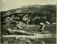 Picture 162 of 470 from Greek coins and their parent cities (1902), leaf 320