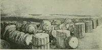 Picture 169 of 470 from Greek coins and their parent cities (1902), leaf 325