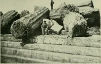 Picture 171 of 470 from Greek coins and their parent cities (1902), leaf 326