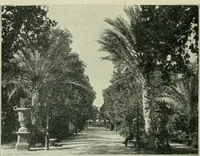 Picture 182 of 470 from Greek coins and their parent cities (1902), leaf 333