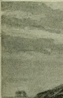 Picture 188 of 470 from Greek coins and their parent cities (1902), leaf 336