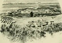 Picture 211 of 470 from Greek coins and their parent cities (1902), leaf 358