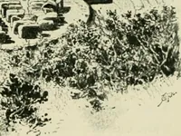 Picture 212 of 470 from Greek coins and their parent cities (1902), leaf 358