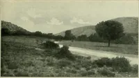 An illustration from Greek coins and their parent cities (1902)