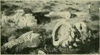 Picture 264 of 470 from Greek coins and their parent cities (1902), leaf 392