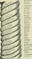Picture 267 of 470 from Greek coins and their parent cities (1902), leaf 394