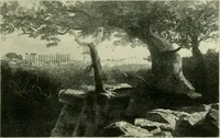 Picture 295 of 470 from Greek coins and their parent cities (1902), leaf 416