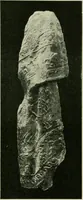Picture 299 of 470 from Greek coins and their parent cities (1902), leaf 420