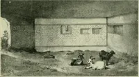Picture 330 of 470 from Greek coins and their parent cities (1902), leaf 444