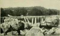 Picture 384 of 470 from Greek coins and their parent cities (1902), leaf 482