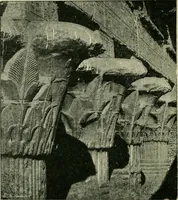 Picture 452 of 470 from Greek coins and their parent cities (1902), leaf 547