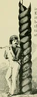 Picture 466 of 470 from Greek coins and their parent cities (1902), leaf 562