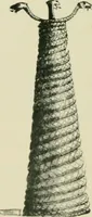 Picture 467 of 470 from Greek coins and their parent cities (1902), leaf 562