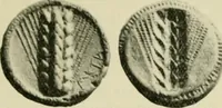 Picture 33 of 470 from Greek coins and their parent cities (1902), leaf 60