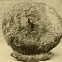 An illustration from Greek, Etruscan and Roman bronzes (1915)