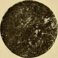 An illustration from Greek, Etruscan and Roman bronzes (1915)