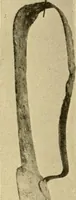 An illustration from Greek, Etruscan and Roman bronzes (1915)