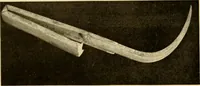 An illustration from Greek, Etruscan and Roman bronzes (1915)