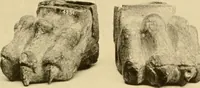 Picture 342 of 414 from Greek, Etruscan and Roman bronzes (1915), leaf 398