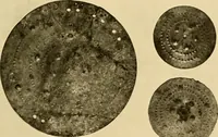 An illustration from Greek, Etruscan and Roman bronzes (1915)