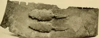Picture 391 of 414 from Greek, Etruscan and Roman bronzes (1915), leaf 472