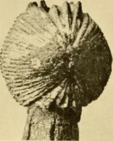 An illustration from Greek, Etruscan and Roman bronzes (1915)