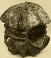 An illustration from Greek, Etruscan and Roman bronzes (1915)