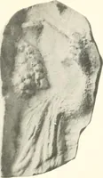 An illustration from Greek moulds (1903)