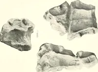 An illustration from Greek moulds (1903)