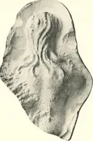An illustration from Greek moulds (1903)