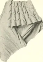 An illustration from Greek moulds (1903)