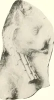 An illustration from Greek moulds (1903)