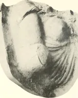 An illustration from Greek moulds (1903)