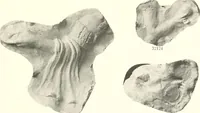 An illustration from Greek moulds (1903)