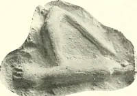 An illustration from Greek moulds (1903)